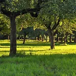 Chateau De Sedaiges Marmanhac