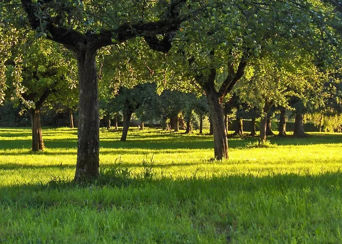 Château De Sédaiges Marmanhac